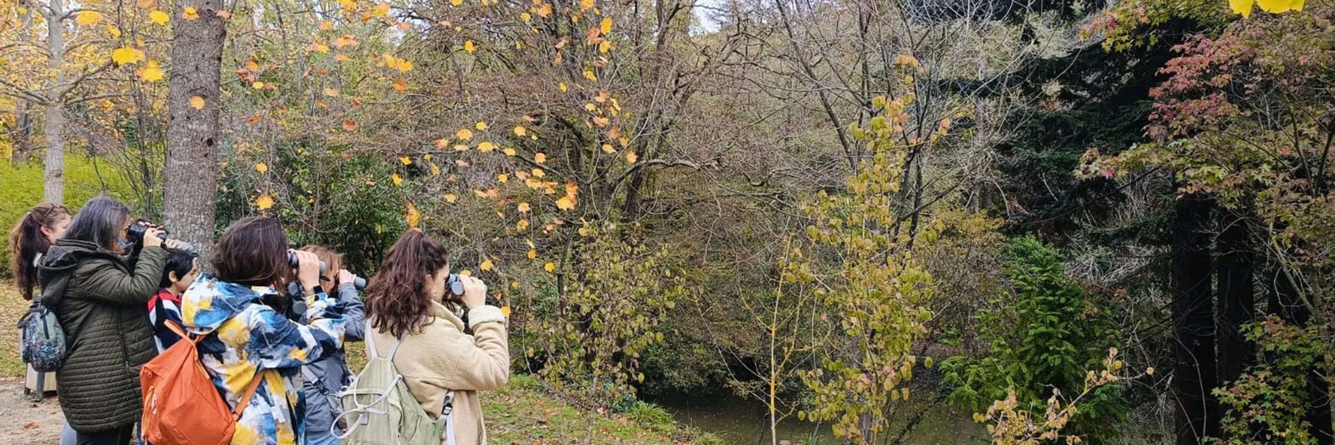 Doğayla Buluş, Geleceğe İmzanı At: ÇEKÜL Bilgi Ağacı Eğitmeni Ol!