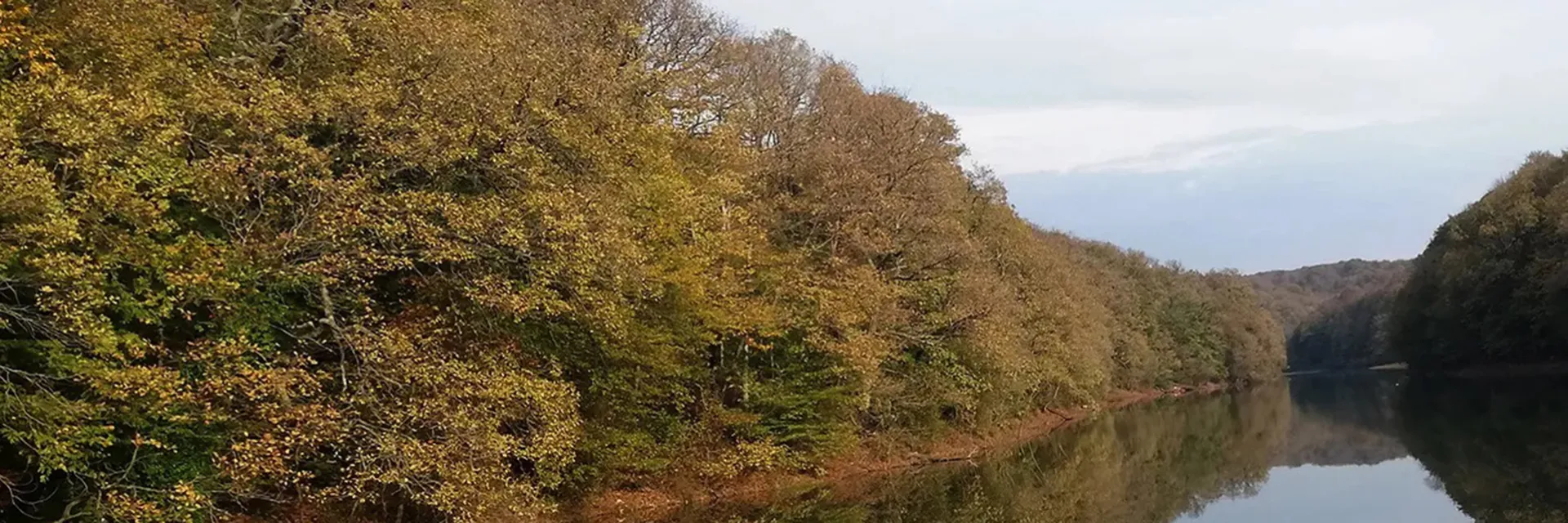 Belgrad Ormanı Statüsünün Değişimi ve Kamuoyu Bilgilendirmesi