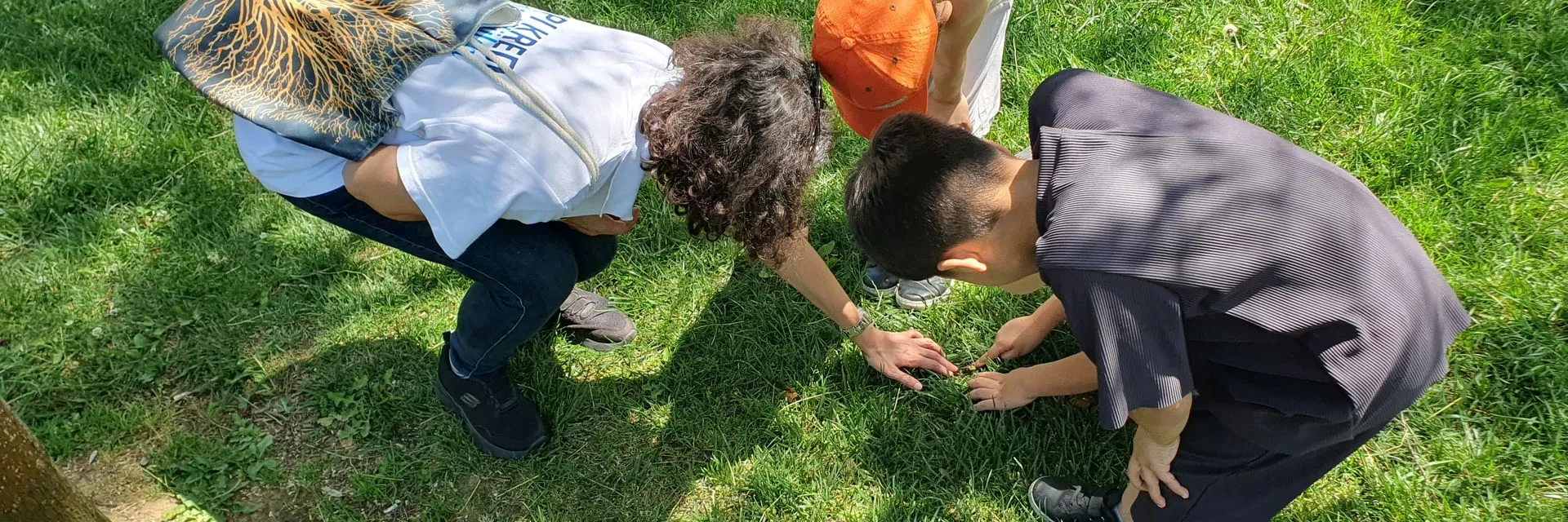 Binlerce Öğretmen ve Öğrenci, ÇEKÜL Bilgi Ağacı ile Doğa ve Kültürü Keşfetti!