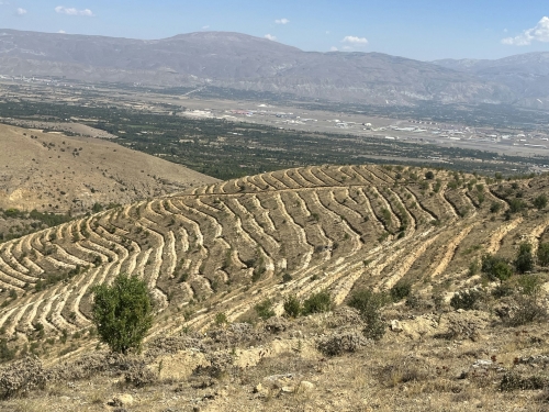 Erzincan,  Merkez /Cevizli Köyü